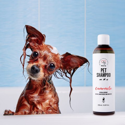 PETS Balsam do łapek i nosa 75ml