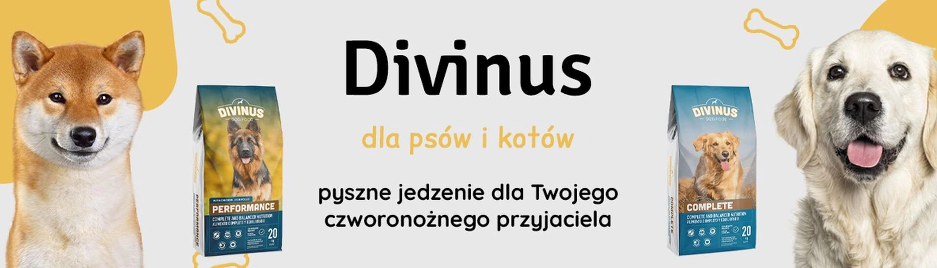 DIVINUS - TOP sprzedaży